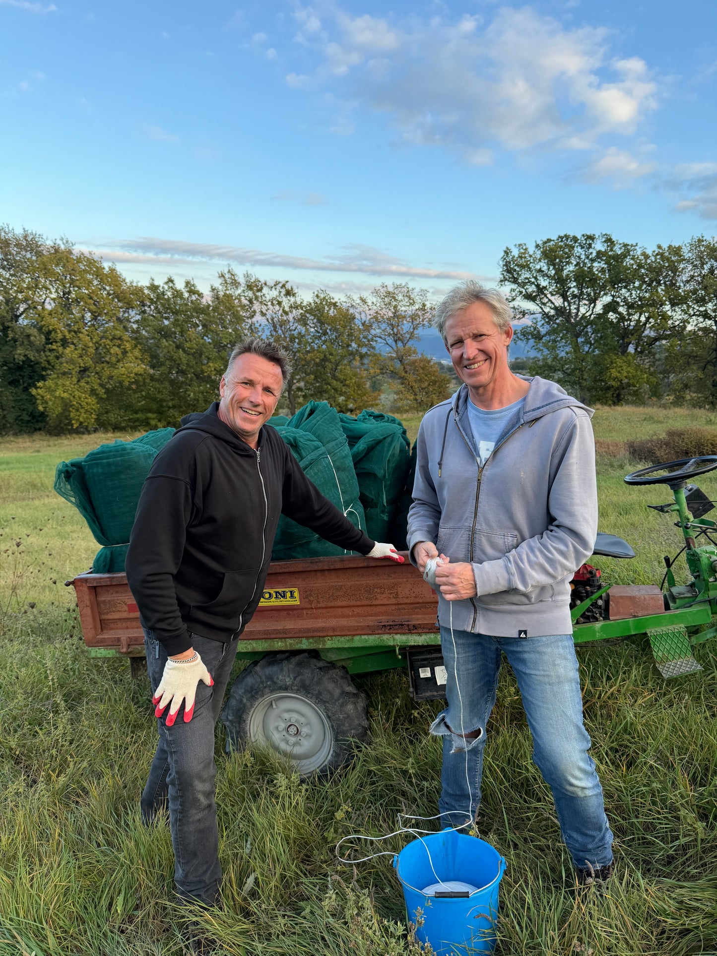 Umbrian Gold Olive Oil Martani 2025 500ml